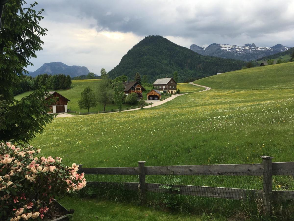 Ausseer