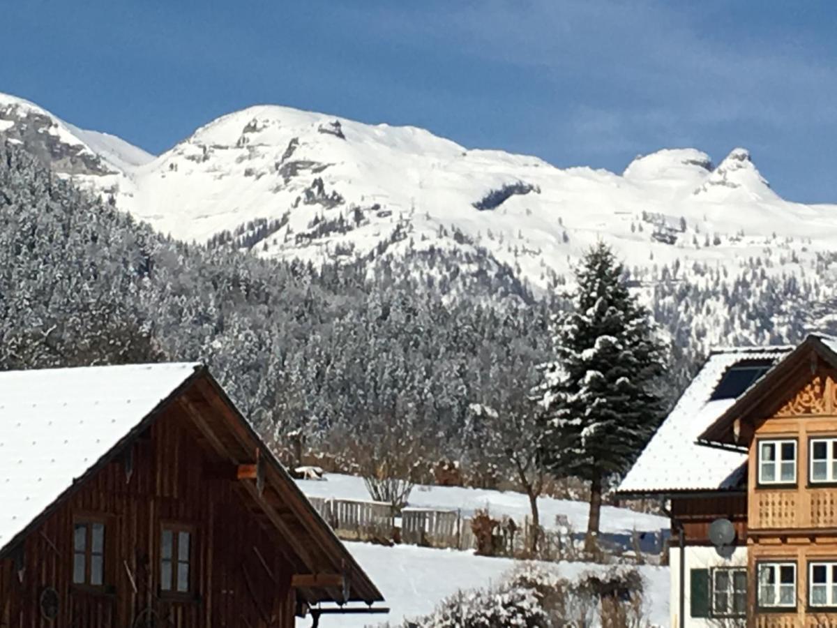 Ausseer *